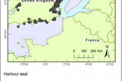 Recorded Harbour Seal sightings