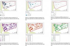 Hamon Grab samples: Quantitative distribution maps