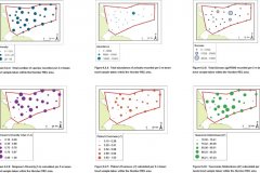 Beam Trawl samples: Quantitative maps