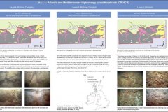 A4.1 Atlantic and Mediterranean high energy circalittoral rock, EUNIS level 3 habitat biotope