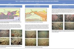 A4.2 Atlantic and Mediterranean moderate energy circalittoral rock, EUNIS level 3 habitat biotope