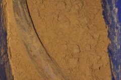 Mammoth tusk conservation