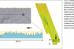Megaripple geophysical imagery