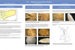 Humber Biotope A5.1 Sublittoral Coarse Sediment (SS.SCS)