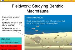 slide7