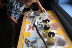 Examining specimens, Great Yarmouth