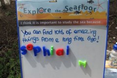 Feedback, Weymouth