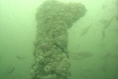 Air intake of the Resurgam