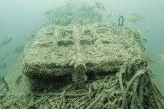 Hatch of the  protected wreck Holland V and fish
