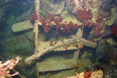 Remains of a ladder into the HMS Drake