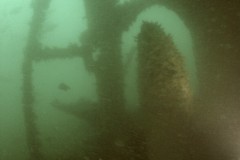 Rudder of the Talis