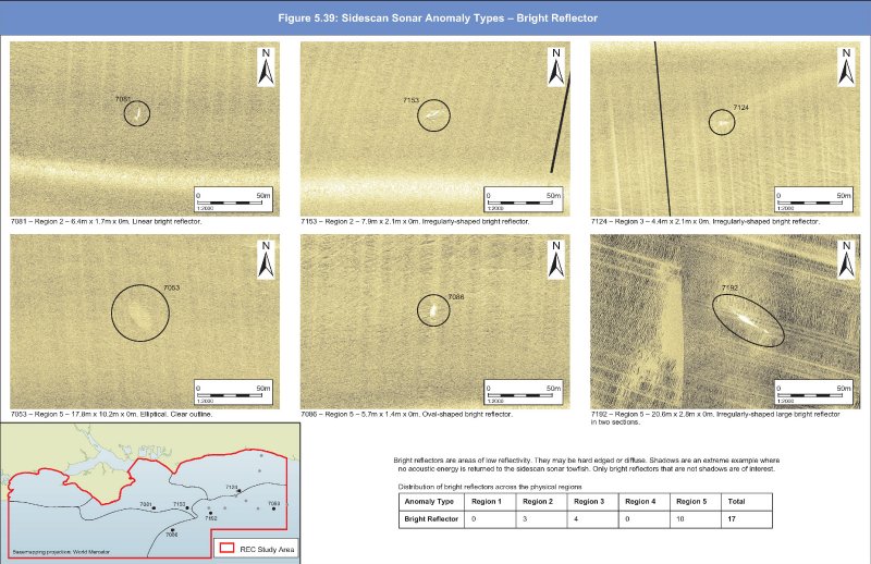 Geopysical sidescan anomalies; examples of bright reflectors