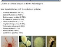 Benthic macrofauna assemblage G