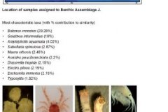 Benthic macrofauna assemblage J