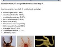 Benthic macrofauna assemblage K