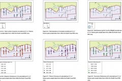REC Benthic macrofauna quantification