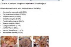 Epibenthic assemblage VI