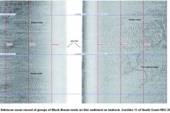 Sidecan data images of Black Bream nests