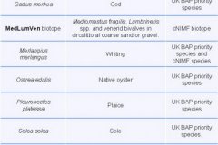 Biotopes Nature Conservation table